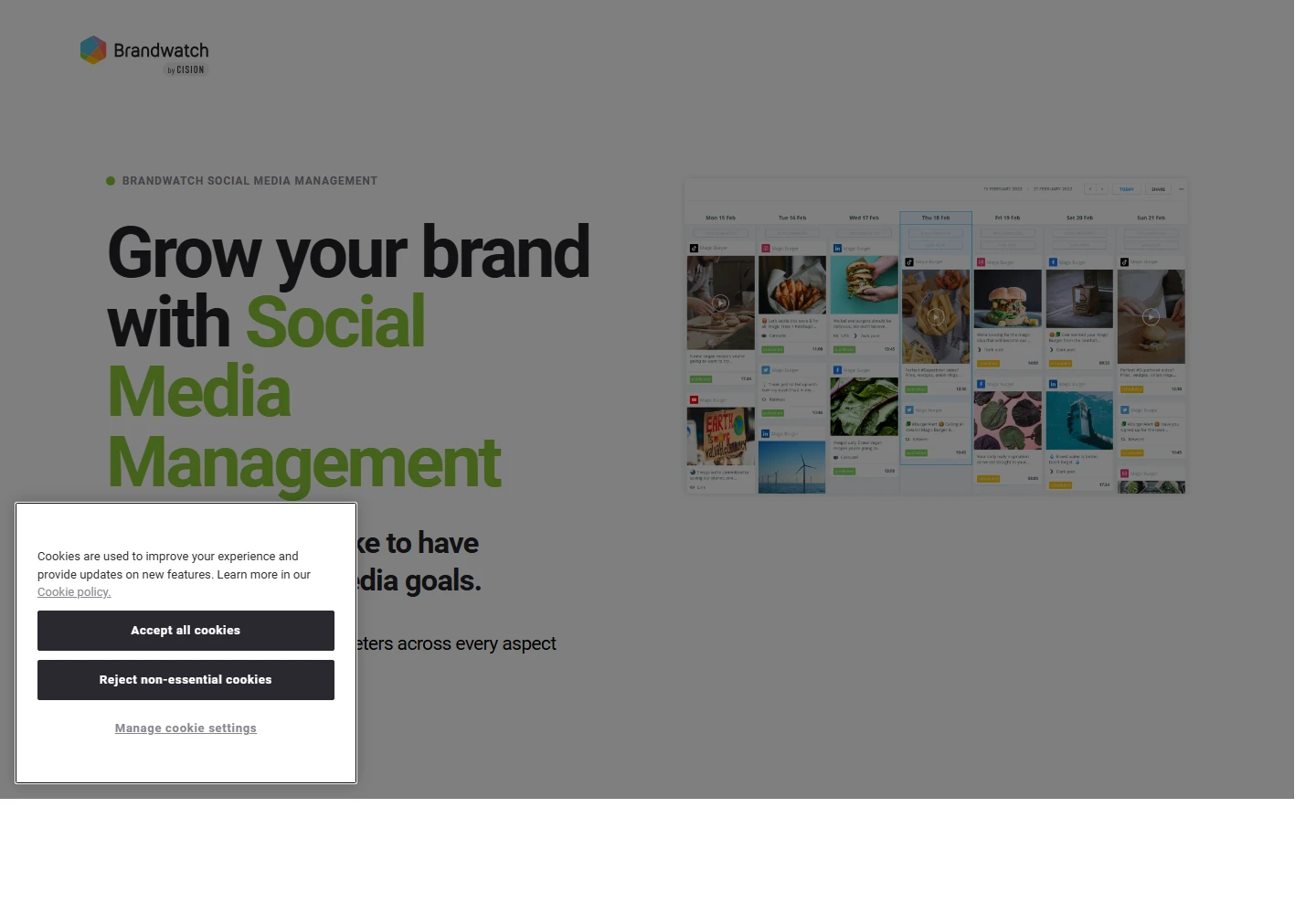 Brandwatch landing page
