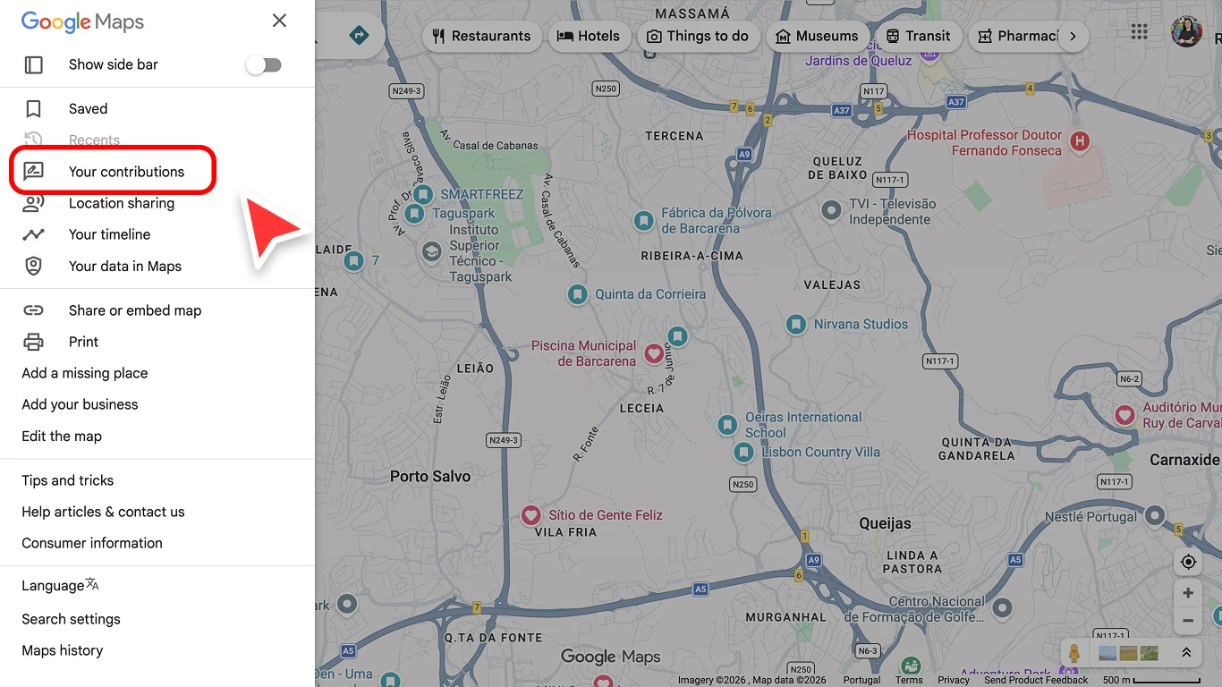 Desktop screenshot showing the Your contributions area before opening your Google reviews